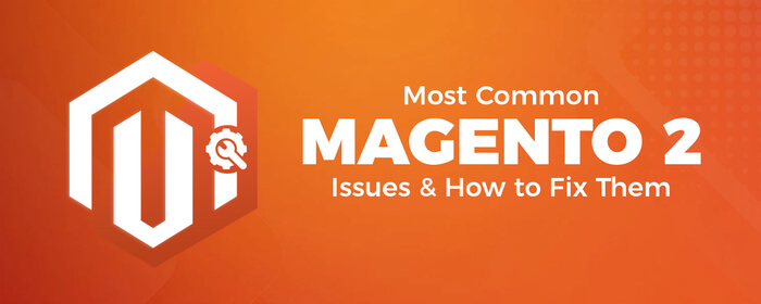 Most Common Magento 2 Issues Faced By Ecommerce Store Owners